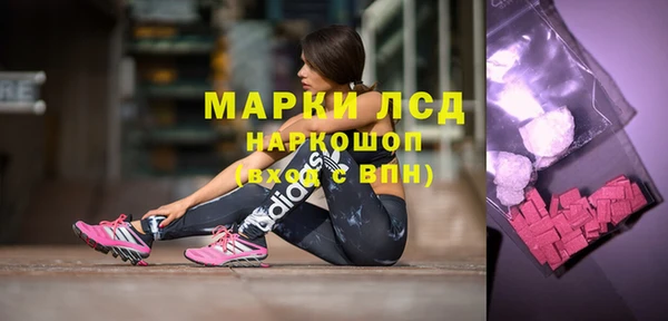 гидра Майский