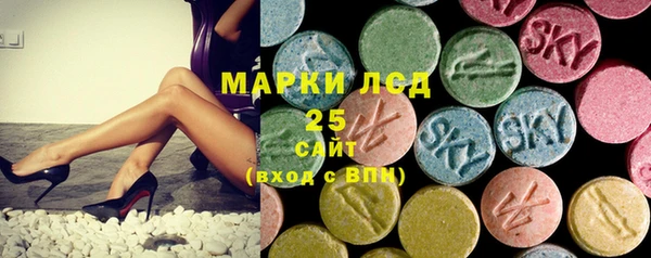 гидра Майский