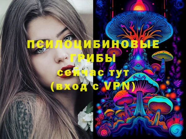 гидра Майский